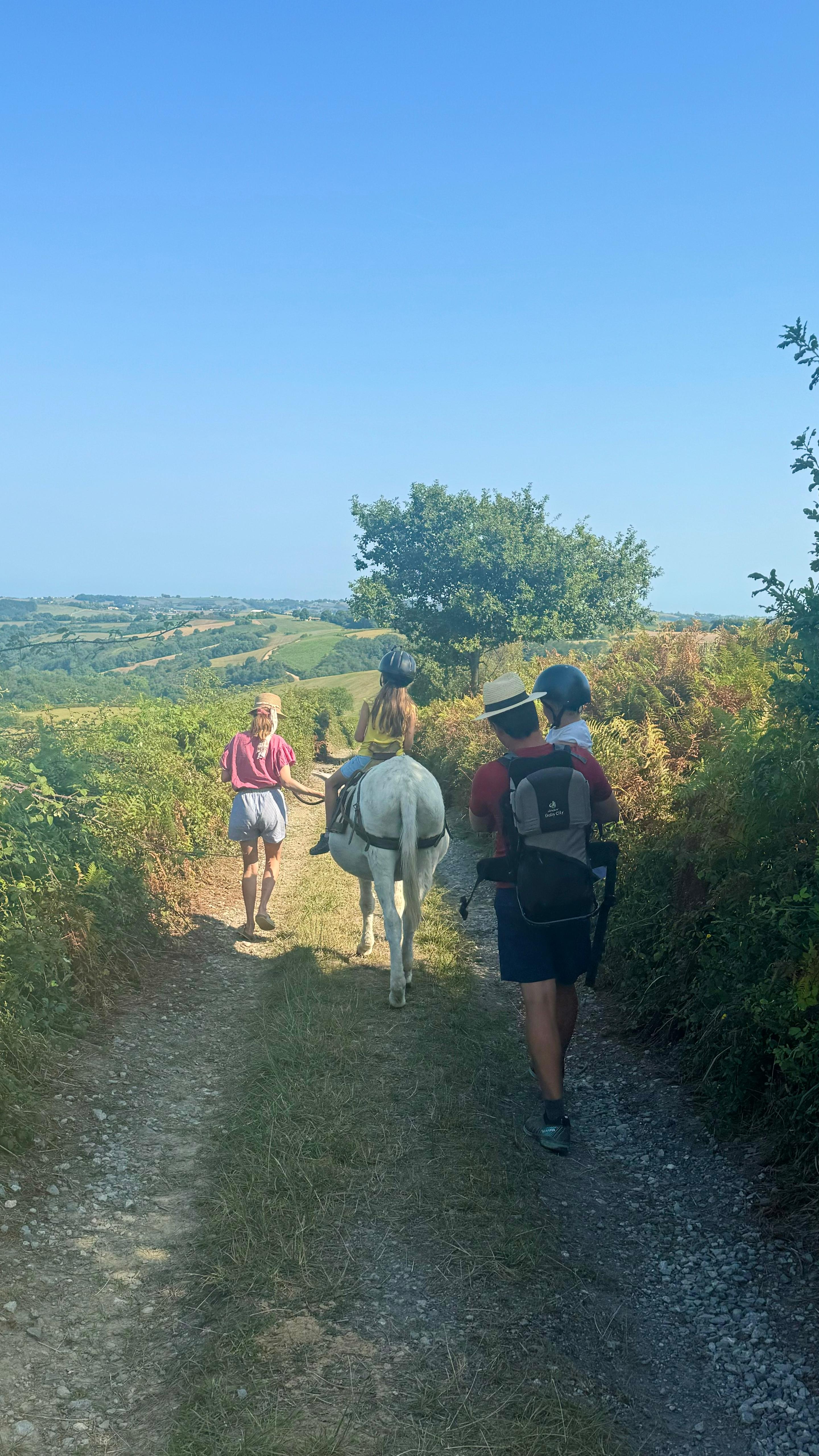 Randonnée avec un âne de 2,5h